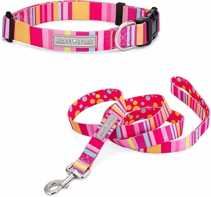 Lucky Love Dog - Easy Click Buckle Dog Collar with Leash Set Combo, Durable & Comfortable for Male & Female Dogs, Pet Collar for Small to Large Dogs, Secure Fit - Molly Combo, Small