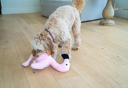 Flourish Pets 3 in 1 Multi-Layer Chew Toy for Active Dogs | Non-Toxic BPA Free Double Stitched Soft Fabric Exterior Dog Toys | Long-Lasting Dog Plush Toys – Large Flamingo 17.5"