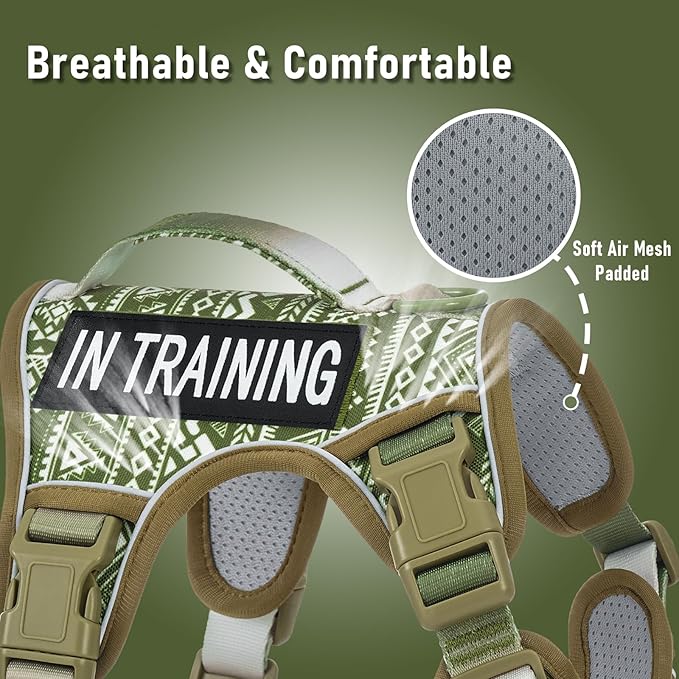 Light Dog Harness for Small Sized Dog Breeds, No Pull Pet Harness with 2 Leash Clips, Adjustable Soft Padded Dog Vest, Reflective Pet Oxford Vest, Puggle, Terriers, Beagle, Green Ethnic, Small