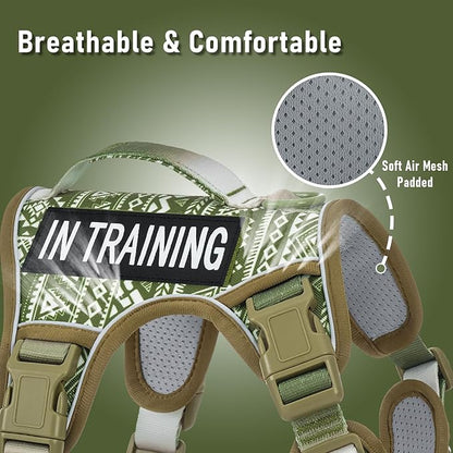 Light Dog Harness for Small Sized Dog Breeds, No Pull Pet Harness with 2 Leash Clips, Adjustable Soft Padded Dog Vest, Reflective Pet Oxford Vest, Puggle, Terriers, Beagle, Green Ethnic, Small