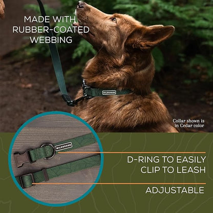 Wilderdog Waterproof Dog Collar - Repels Water & Dirt - Medium 13"-18" - Cedar