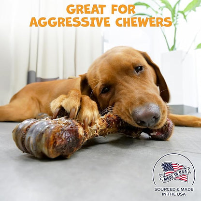 Pack Approved Beef Shin Bones for Dogs - Liver Coated Long Lasting Dog Chews for Aggressive Chewers - Rawhide-Free Big Bones for Large Dogs - Healthy Large Dog Bone (1 Pack)