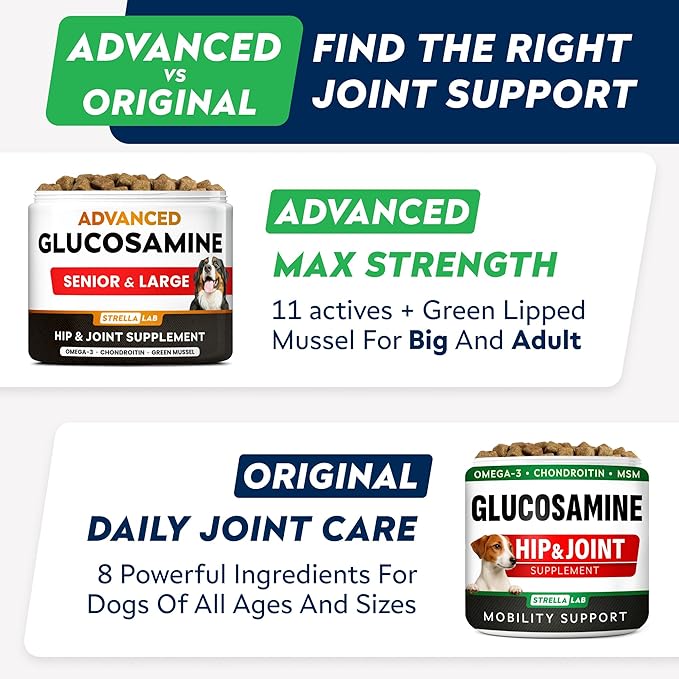 STRELLALAB Advanced Glucosamine Hip & Joint Supplement for Senior Dogs - Green Lipped Mussel & Collagen - Hip & Joint Pain Relief - Large & Small Breed - Joint Health - Bacon - 120 Chews