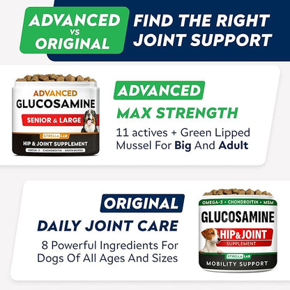 STRELLALAB Advanced Glucosamine Hip & Joint Supplement for Senior Dogs - Green Lipped Mussel & Collagen - Hip & Joint Pain Relief - Large & Small Breed - Joint Health - Bacon - 120 Chews
