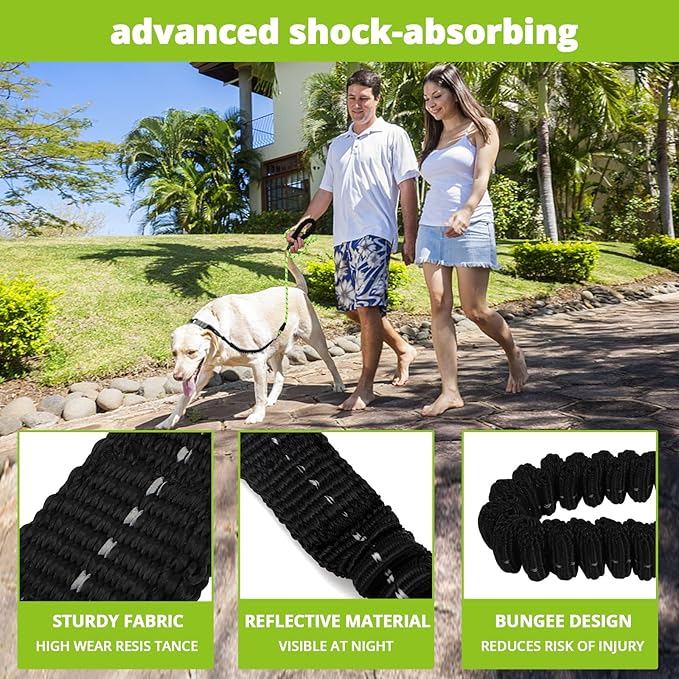 Rope Dog Leash 5 FT: Heavy Duty Leashes with Swivel Lockable Hook Reflective Threads Bungee and Padded Handle - Dog Lead for Large Small Medium Dogs Outside Walking Hiking Green