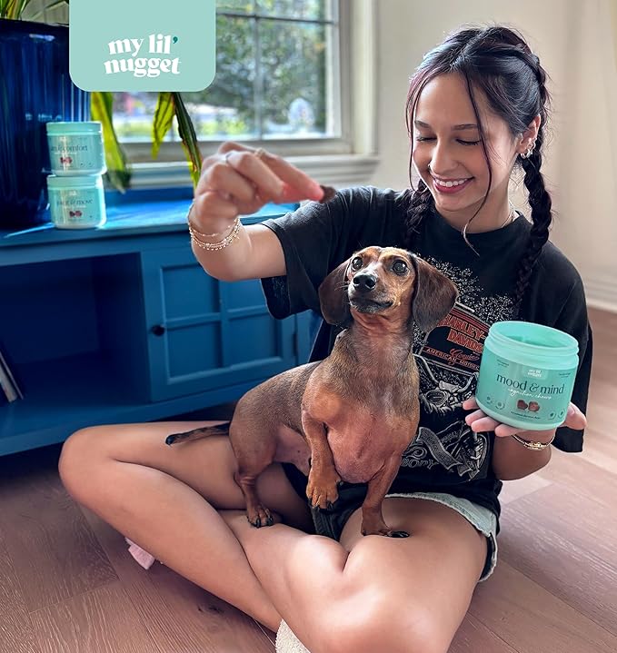 My Lil’ Nugget - Vet-Approved Cognition Chews for Dogs | All-Natural Dog Brain Support & Improve Memory | Lion’s Mane & Ashwagandha | All-Ages – Aging Senior Dog to Puppy | 90 Salmon Flavor Soft Chews