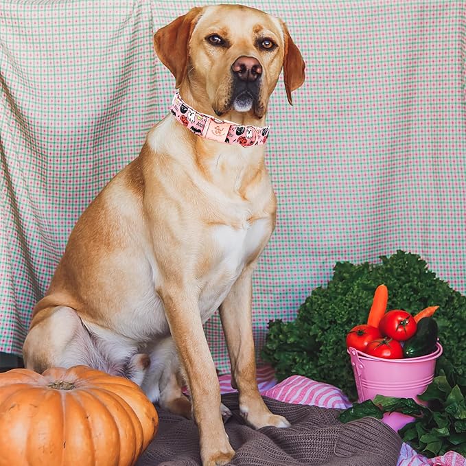Elegant little tail Halloween Dog Collar, Autumn Pet Collar Durable Pink Dog Collars Male or Female Holiday Pet Gift Adjustable Dog Collar for Large Dogs