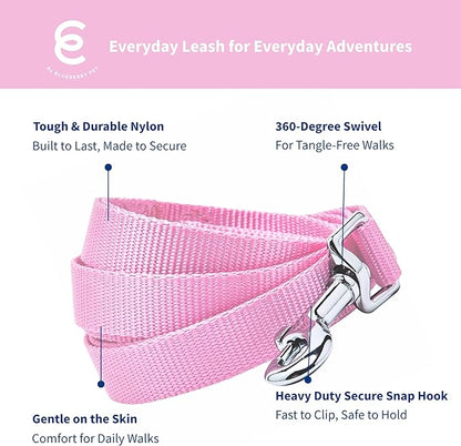 Blueberry Pet Essentials Fuchsia Pink Dog Leash for Small -5' * 5/8" Dogs | Heavy Duty Nylon Lead | Lightweight Puppy & Cat Leash for Walking & Training