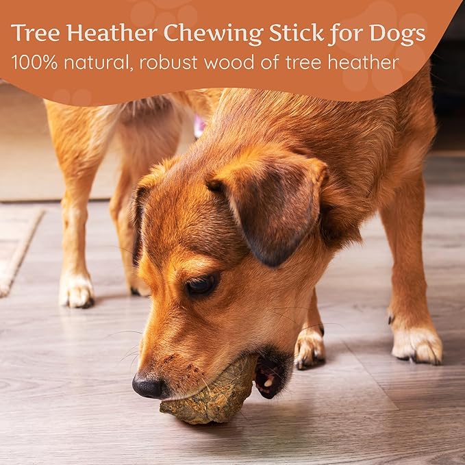 Wildfang® Briar Wood Chewing Root, Large - Splinter Free Wood Dog Chew Toys for Aggressive Chewer, Odorless Natural Teething Toys Dogs Dental Health, Healthy Gums (for Dogs 55-99 lbs), Pack of 3