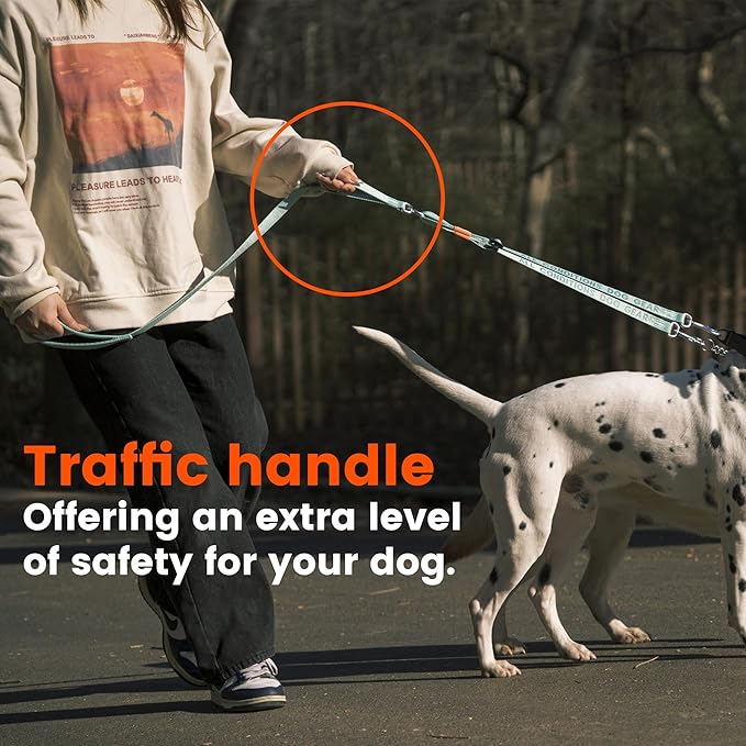 HOWGO Double Dog Leash, No Tangle 360° Swivel, Adjustable Two Padded Handles, Double Clip Dog Leash Coupler Splitter for 30~150 lbs Large and Medium Breeds (Black, 4/5'' x 4.8 FT, Ultralight)