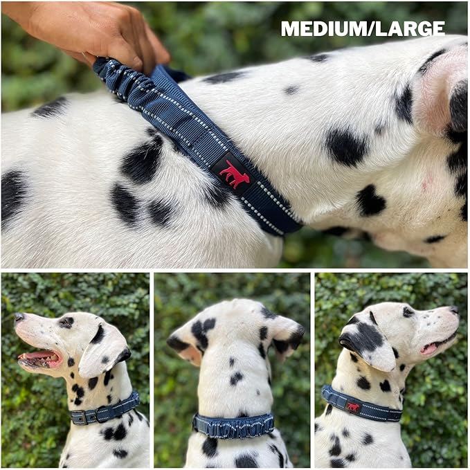 Tuff Pupper Heavy Duty Dog Collar with Handle | Ballistic Nylon Heavy Duty Collar | Padded Reflective Dog Collar with Adjustable Stainless Steel Hardware | Convenient Sizing for All Breeds