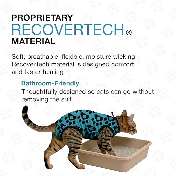 BellyGuard Cat Recovery Suit for Female and Male, Cat Surgery Suit Alternative, Onesie for After Spay Care, Post-Surgery Protective Body Cover for Feline and Kitten Healing
