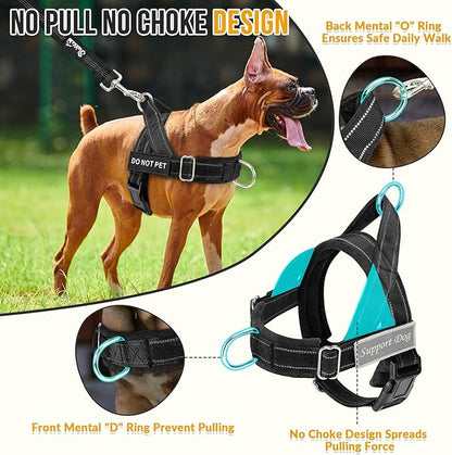 Lukovee No Pull Dog Harness & Leash Set - Heavy Duty Dog Vest Harness with Soft Padded for Medium Large Dogs, Adjustable Reflective Tactical Pet Harness for Easy Walk and Training (M, Black)
