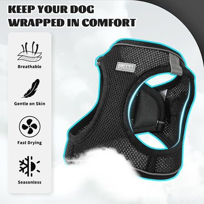 Bolux Dog Harness Small Sized and Leash Set, Step in Soft Light Puppy Vest, Breathable Mesh Pet Harness, Reflective for Safe Easy Walking.