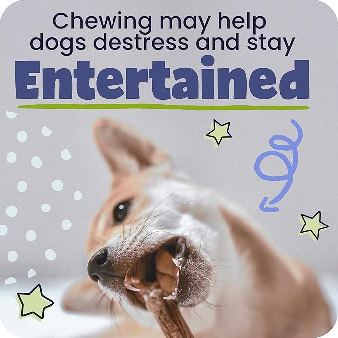 Pawstruck Natural 3–5" Bully Sticks for Small Dogs and Puppies – Single Ingredient, Low-Odor, Rawhide-Free Chew Treat – 100% Real Beef, No Artificial Preservatives – 8 oz Bag – Packaging May Vary