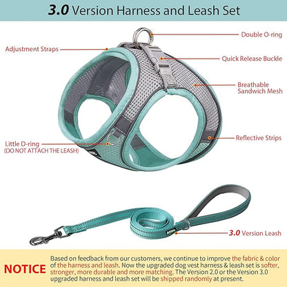 AIITLE Comfortable Dog Harness and Leash Set for Walking - Step in Vest Harness,Reflective Bands, Adjustable No Pull Puppy Essentials, for Small Dogs and House Cats Turquoise XS