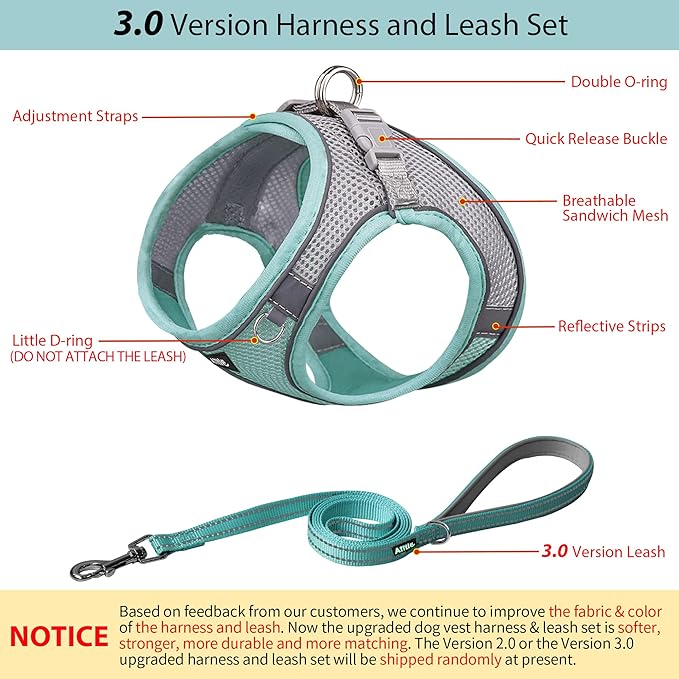 AIITLE Small Harness for Puppy with A Leash - Dog Vest Harness with Super Breathable Mesh, Reflective No-Pull Pet Harness for Outdoor Walking, Running for Small Dogs, Cats Turquoise XXS