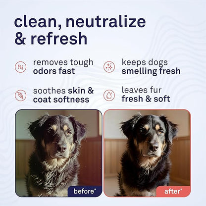 Petpost | Skunk Odor Eliminator Shampoo for Dogs & Cats. Neutralizes Strong Odors. Gentle & Safe Formula. 16 oz