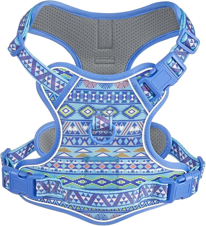 No Pull Dog Harness for Small Dog Breeds, Anti-Escape Easy Walking Reflective Adjustable Lightweight Dog Vest with Breathable Oxford Material, Easy on Easy Off with Neck Buckle,Blue Ethnic XS