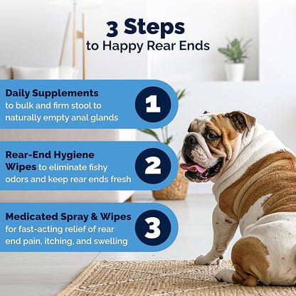 Vetnique Glandex Medicated Dog Butt Wipes or Spray for Dog Scooting - Topical Anti Itch Skin Relief for Soothing Inflamed Anal Glands in Dogs & Cats - Fast Acting Formula 50ct (50ct Wipes)