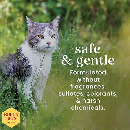 Burt's Bees for Pets Cat Dander Remover Wipes with Colloidal Oat Flour - Pet Dander Remover Cat Wipes for Allergy Relief, Dry Skin Relief for Cats and Kittens, 50 Count