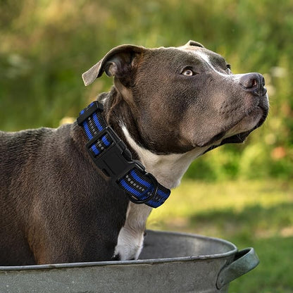 Mile High Life Reflective Dog Collar Leash Set | Adjustable for Small and Medium Dogs (Reflective Stripe Blue, Medium, Pack of 2)