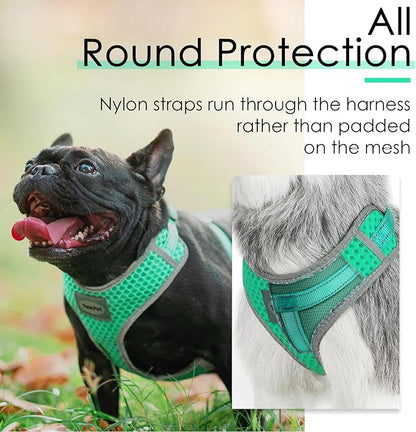 ThinkPet Reflective Breathable Soft Air Mesh No Pull Puppy Choke Free Over Head Vest Ventilation Harness for Puppy Small Medium Dogs and Cats(XS,Green)