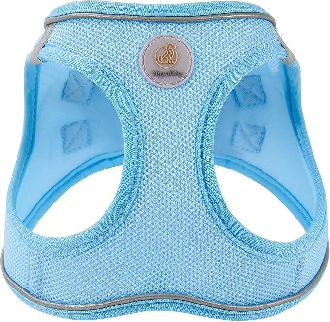 Hipubby Dog Harness and Leash Set, No Pull Soft Mesh Puppy Harness for Small Medium Dogs, Cats - Step in Reflective Breathable Lightweight Vest Harness for Walking, Training - Blue, S