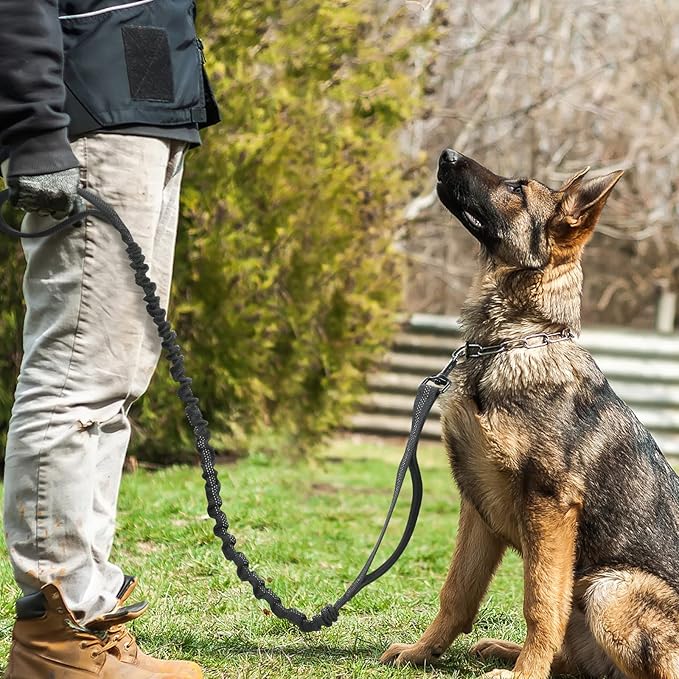 rabbitgoo Tactical Bungee Dog Leash with Shock Absorption, Military Training Leash with 2 Padded Control Handles for Medium Large Dogs, 5.2FT, Black