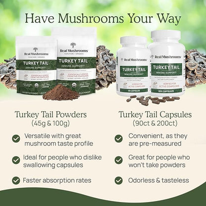 Real Mushrooms Turkey Tail Mushroom Powder – Organic Turkey Tail Extract from – for Wellness, Gut Harmony, & Energy Support – Vegan, Non-GMO, No Fillers – 100 Servings Functional Mushroom Supplement