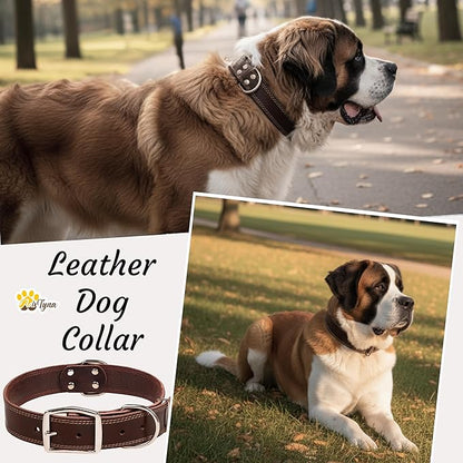 ADITYNA Heavy Duty Leather Dog Collar for Extra-Large Dogs - Soft and Strong Leather Collar for XL Breeds (Extra-Large: Fit 22" - 30" Neck, Brown)