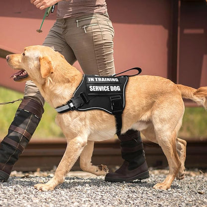Service Dog Vest Harness and Leash Set+10 Patches,No Pull&Easy Walk Reflective Dog Harness with Soft Padded Handle for Training/Everyday,Fit Small/Medium/Large/Extra-Large Dogs (Black L)