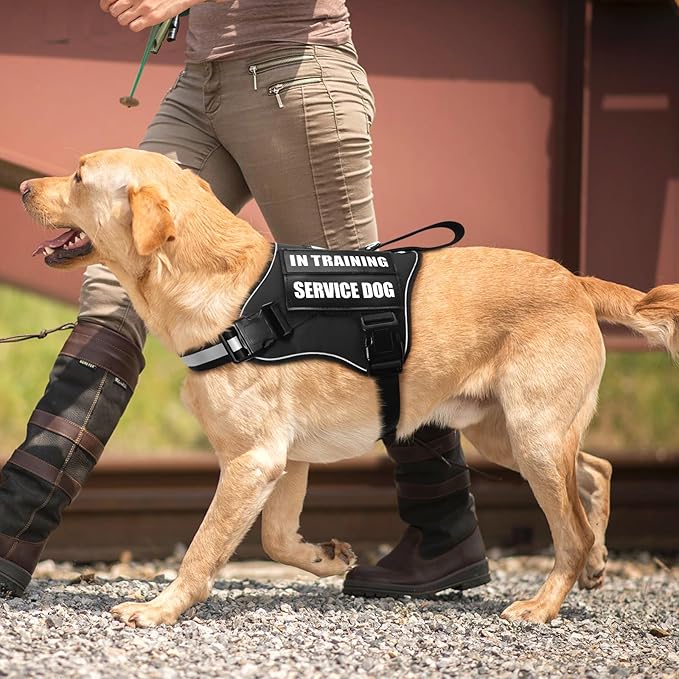 Service Dog Vest Harness and Leash Set+10 Patches,No Pull&Easy Walk Reflective Dog Harness with Soft Padded Handle for Training/Everyday,Fit Small/Medium/Large/Extra-Large Dogs(Black XL)