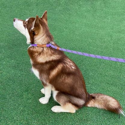 5 FT Slip Lead Dog Leash, Heavy Duty Rope Leash for Small Medium Large Dogs, No Pull Training Lead with Reflective Thread, Strong Comfortable Loop Leash (Lavender Stripe, Large(1/2"))