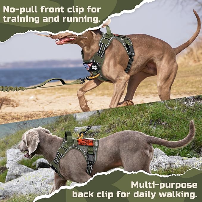 rabbitgoo Tactical Dog Harness for Small Dogs, No Pull Military Service Vest with Handle & Molle, Easy Control for Training Walking, Adjustable Reflective Straps, Green camo, S