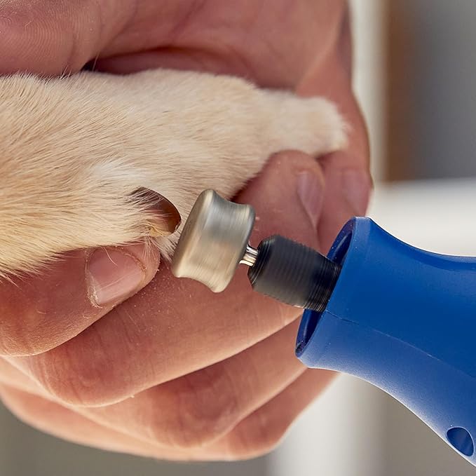 Dremel 416HP Diamond-Coated Rotary Nail Grinder Bit - Ideal for Dog Nail Grooming, Gentle with Precise Control