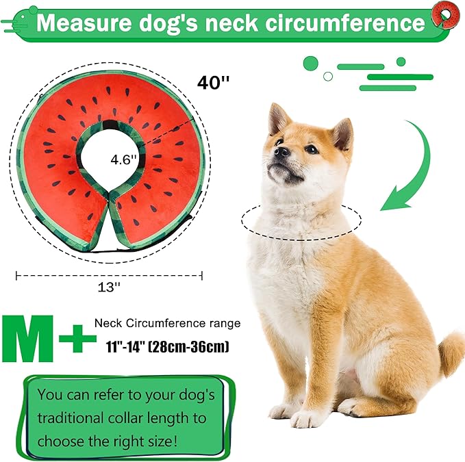 Recovery Donut Collar for Dogs & Cat,Inflatable Dog Collar Alternative After Surgery,Soft Cone for Large Medium Small Pet(Watermelon,Medium+)