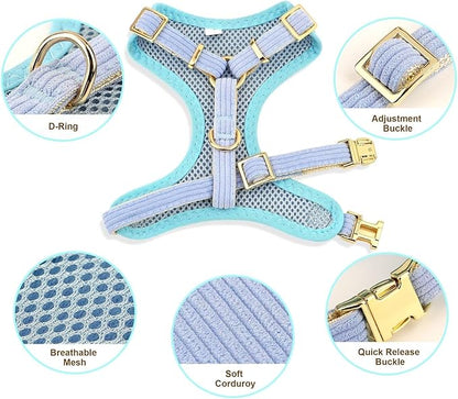 Didog Cute Small Dog Harness Collar and Leash Set with Bowtie, Breathable Soft Mesh Padded Puppy Harness, Dog Harness for Small Dogs Daily Walks Parties, Holiday Gatherings & Gifts, Blue, M