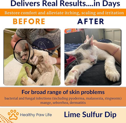 Healthy Paw Life - Lime Sulfur Dip - Pet Care for Itchy and Dry Skin - Xtra Strength Formula - Safe Solution for Dog, Cat, Puppy, Kitten, Horse (1 Gallon)