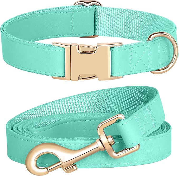 PET ARTIST Soft PU Leather Dog Collar and Leash Set, Bright & Stylish 5FT PU Leather Leash and Collar Set, Durable Pet Collars with Quick Release Metal Buckle for Small Dogs,Mint Green,S(9"-14")