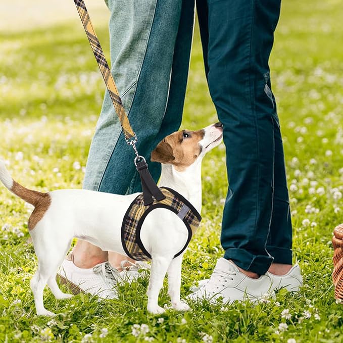 PUPTECK Adjustable Dog Harness Collar and Leash Set Step in No Pull Pet Harness for Small Medium Dogs Puppy and Cats Outdoor Walking Running, Soft Mesh Padded Reflective Vest Harnesses, Yellow, S