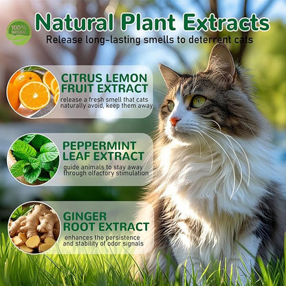 Cat Deterrent Outdoor, 10 Pack Natural Peppermint Essential Oil Cat & Dog Deterrent Balls Outdoor Indoor, Keep Cats Out of Yard Garden Plants Lawn Furniture Trash Anti Cat Scratch Chew, Keep Cats Away
