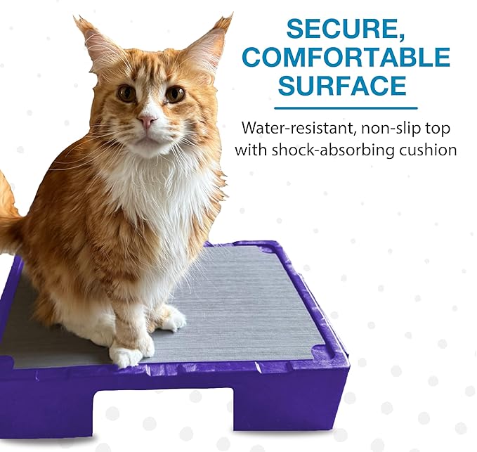 Blue-9 KLIMB Jr. Professionally Designed Dog Training Platform and DIY Guide for Behavior Basics, Made in The USA, Purple