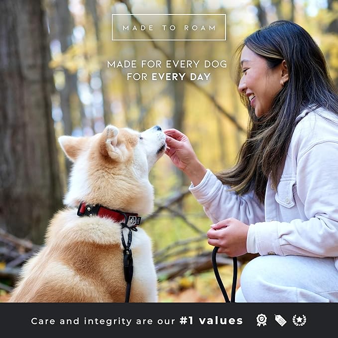 MADE TO ROAM Comfort Collar - Adjustable Nylon Dog Collar with Soft Comfortable Padding, Light Aviation Aluminum Metal Buckle for Small, Medium and Large Dogs (Arizona Heartbeat, Size 2)