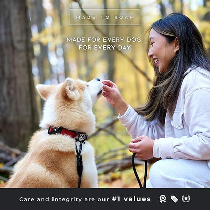 MADE TO ROAM Comfort Collar - Adjustable Nylon Dog Collar with Soft Comfortable Padding, Light Aviation Aluminum Metal Buckle for Small, Medium and Large Dogs (Arizona Heartbeat, Size 2)