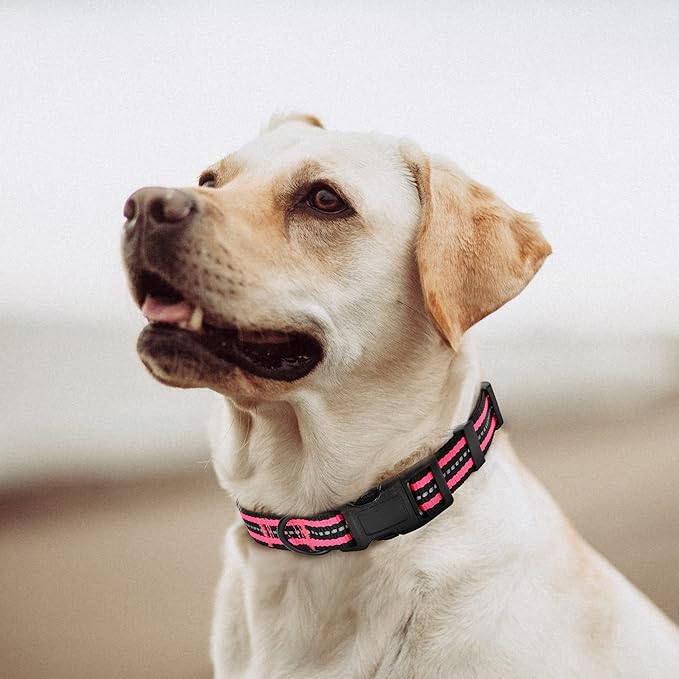 Mile High Life Reflective Dog Collar | Nylon Pet Collars wiith Buckle | Light Weight Puppy Collars | Pink Dog Collars for Large Dogs (Pink, L)