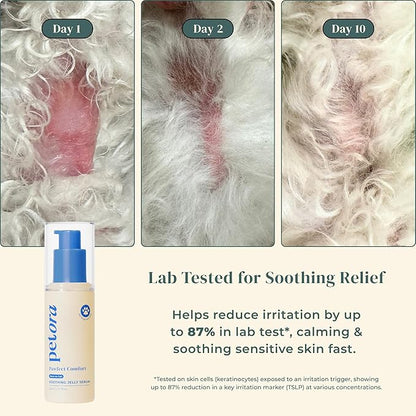 petora] PAWFECT Comfort Soothing Jelly Serum for Dogs & Cats | Fast Relief for Dry, Cracked Paws, Hot Spots & Itchy Skin | Certified KAPQA Animal Safety & Efficacy | Pump Dispenser Mess-Free