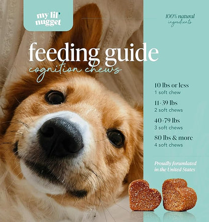 My Lil’ Nugget - Vet-Approved Cognition Chews for Dogs | All-Natural Dog Brain Support & Improve Memory | Lion’s Mane & Ashwagandha | All-Ages – Aging Senior Dog to Puppy | 90 Salmon Flavor Soft Chews
