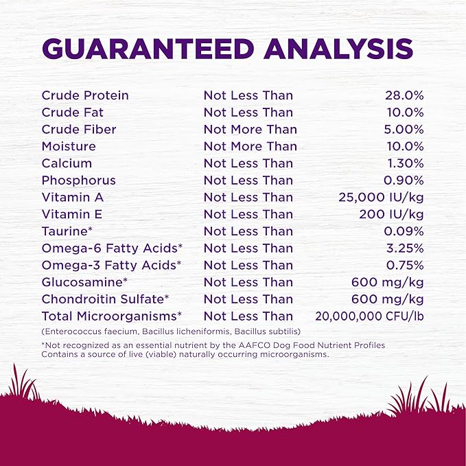 Wellness Complete Health Dry Dog Food, Small Breed, Wholesome Grains, Natural, Healthy Weight Turkey & Brown Rice Recipe, (12-Pound Bag)