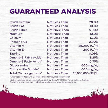 Wellness Complete Health Dry Dog Food, Small Breed, Wholesome Grains, Natural, Healthy Weight Turkey & Brown Rice Recipe, (12-Pound Bag)